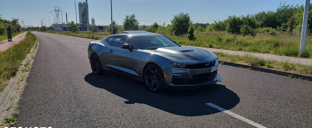 Chevrolet Camaro cena 185000 przebieg: 22700, rok produkcji 2021 z Turek małe 56